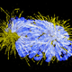Illustration for article titled OMG These Images of the Sub-Microscopic World Are Amazing